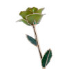 Harvest Lime
